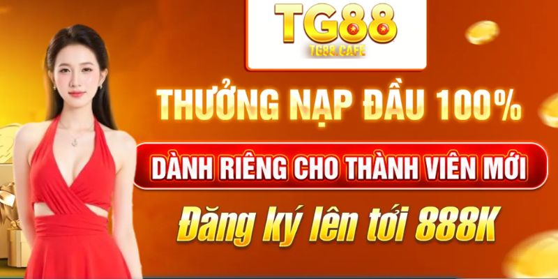 Giới thiệu tổng quan về TG88
