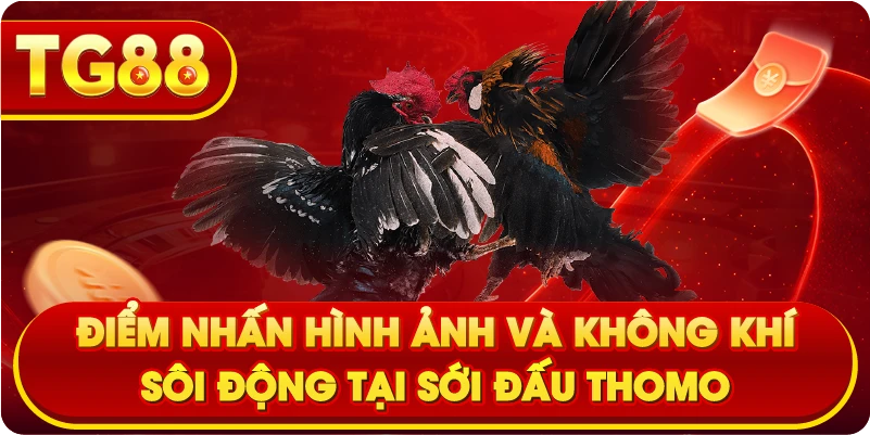 Điểm nhấn hình ảnh và không khí sôi động tại sới đấu Thomo