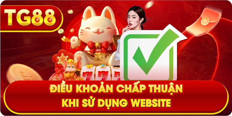 Điều khoản Chấp thuận khi sử dụng website