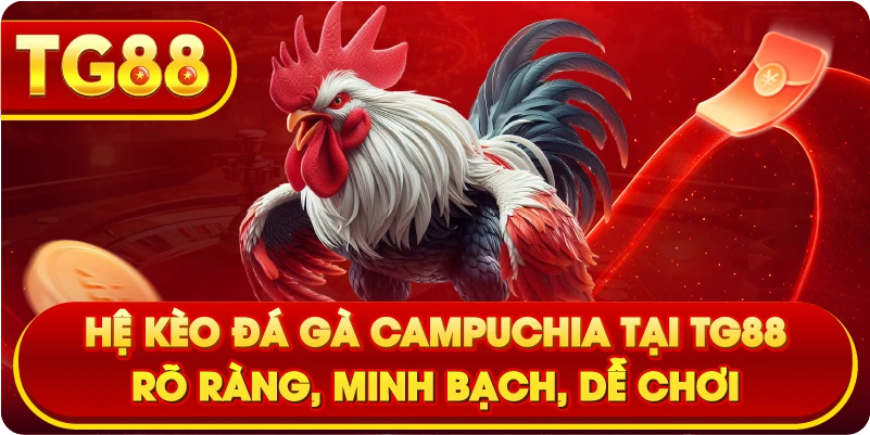 Hệ kèo đá gà Campuchia tại TG88 – Rõ ràng, minh bạch, dễ chơi